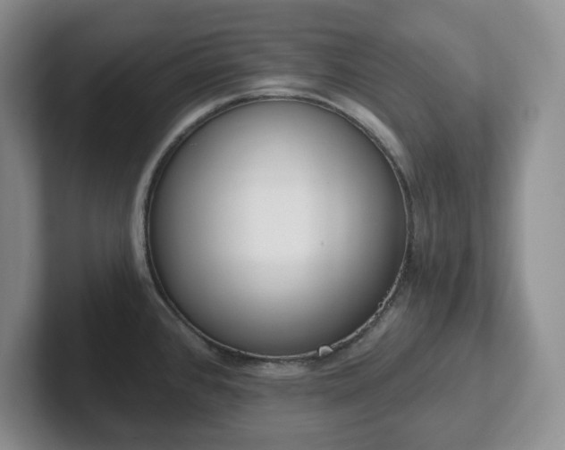 X0000102531384200808151545