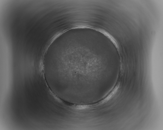 X0000102531385200808151545