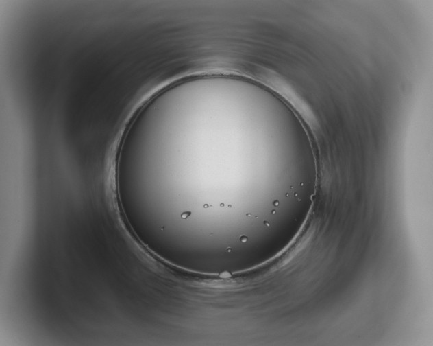 X0000102531388200808151545