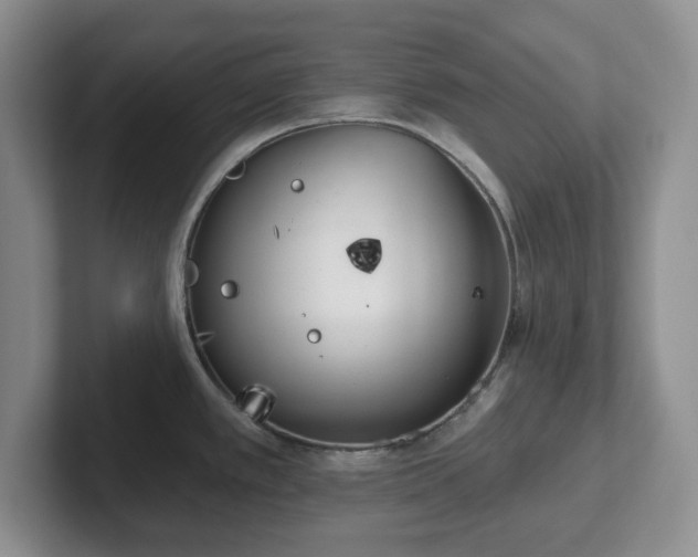 X0000102531389200808151545