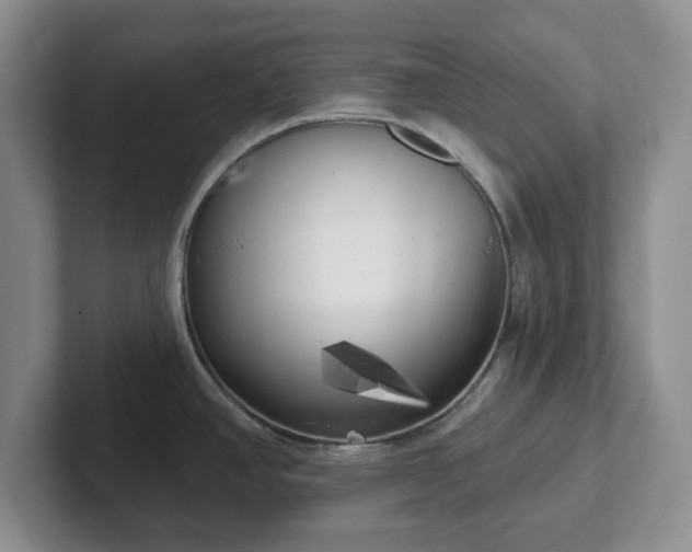 X0000102531390200808151545