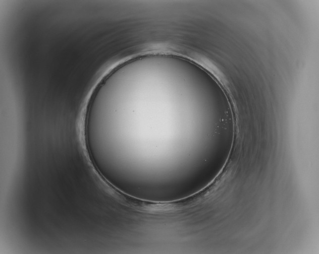 X0000102531392200808151545