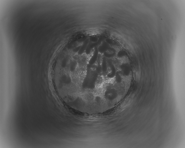 X0000102531393200808151545