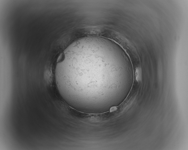 X0000102531395200808151545