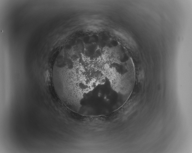 X0000102531397200808151545