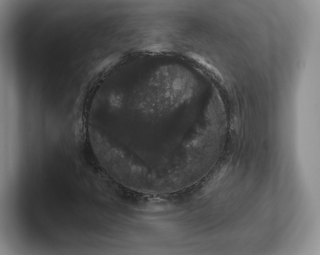 X0000102531398200808151545