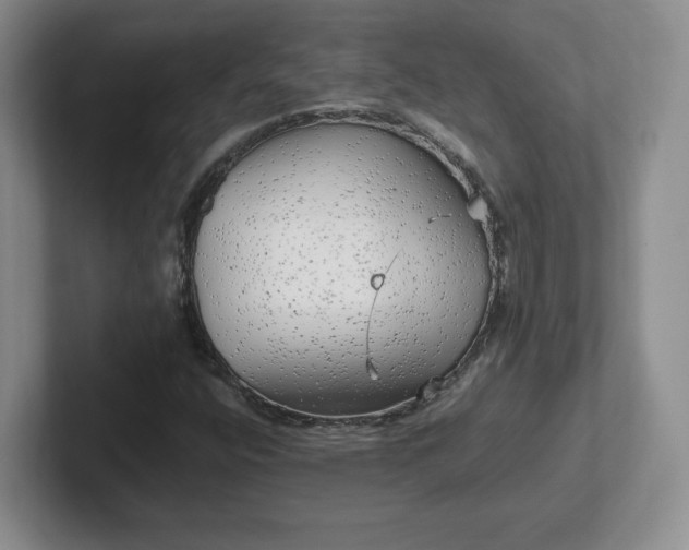 X0000102531400200808151545