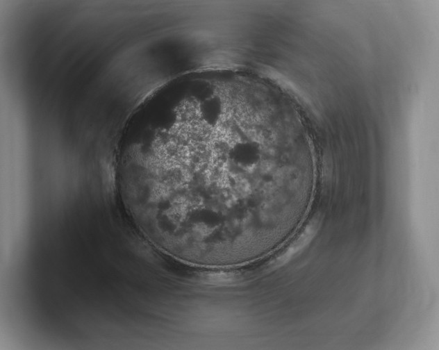 X0000102531401200808151545