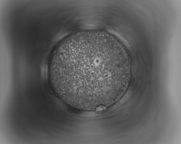 X0000102531402200808151545