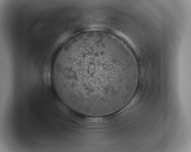 X0000102531403200808151545