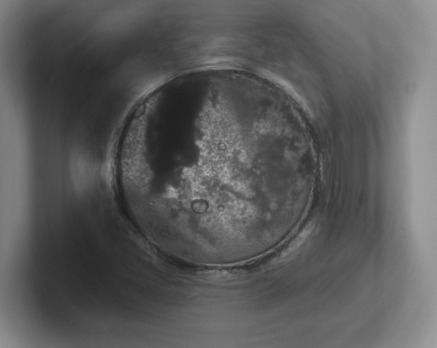 X0000102531405200808151545