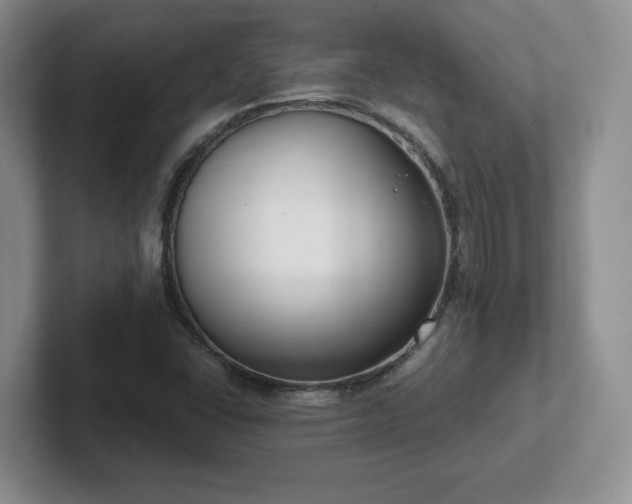 X0000102531406200808151545