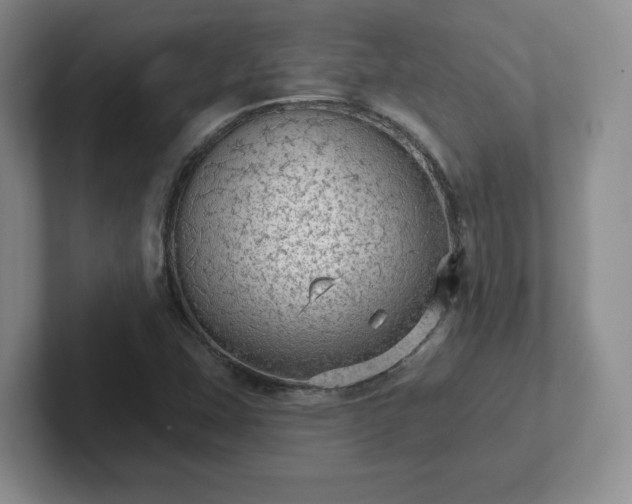 X0000102531407200808151545