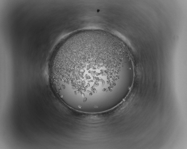 X0000102531408200808151545