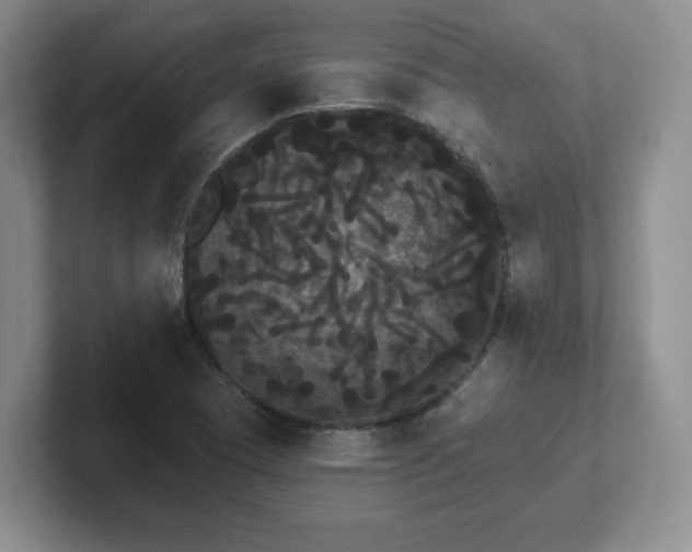 X0000102531409200808151545