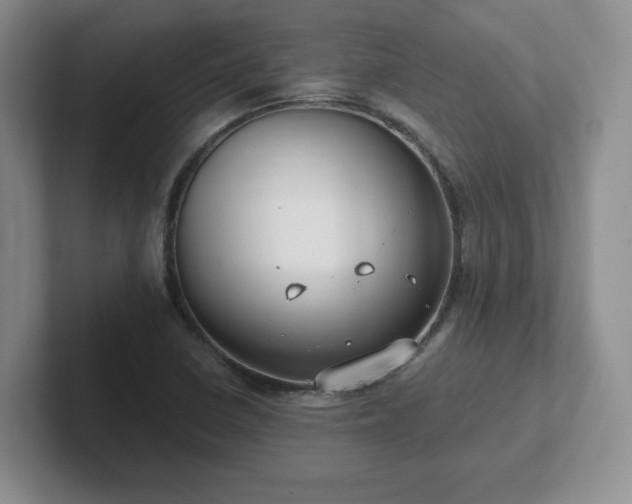 X0000102531410200808151545