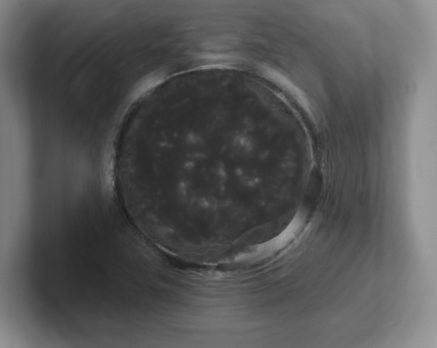 X0000102531411200808151545