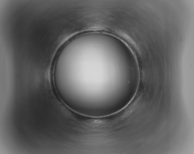 X0000102531412200808151545