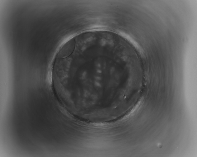 X0000102531413200808151545