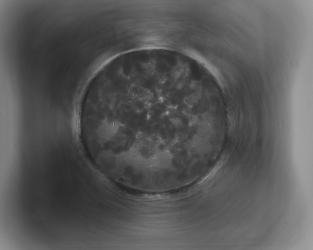 X0000102531415200808151545