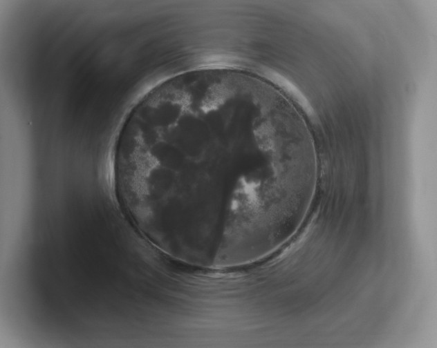 X0000102531419200808151545