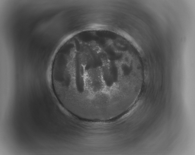 X0000102531421200808151545