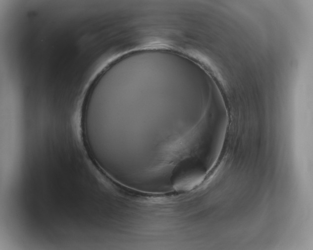 X0000102531422200808151545