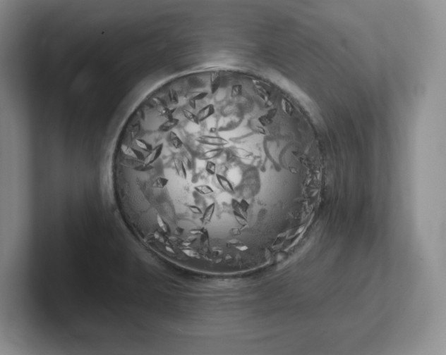 X0000102531423200808151545