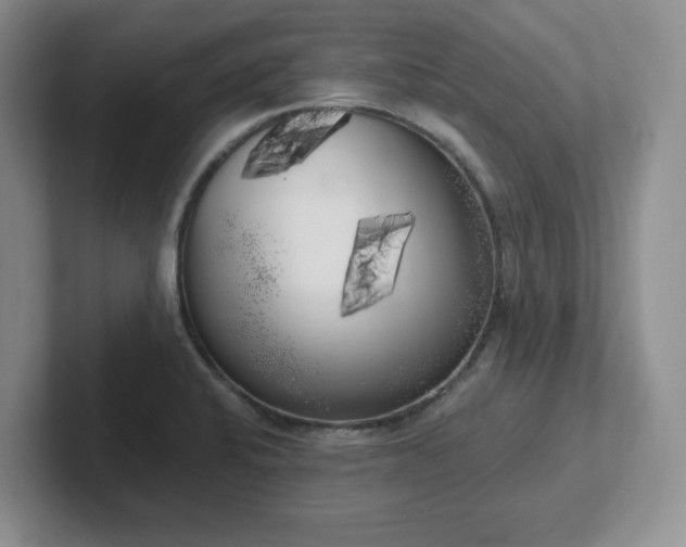 X0000102531424200808151545