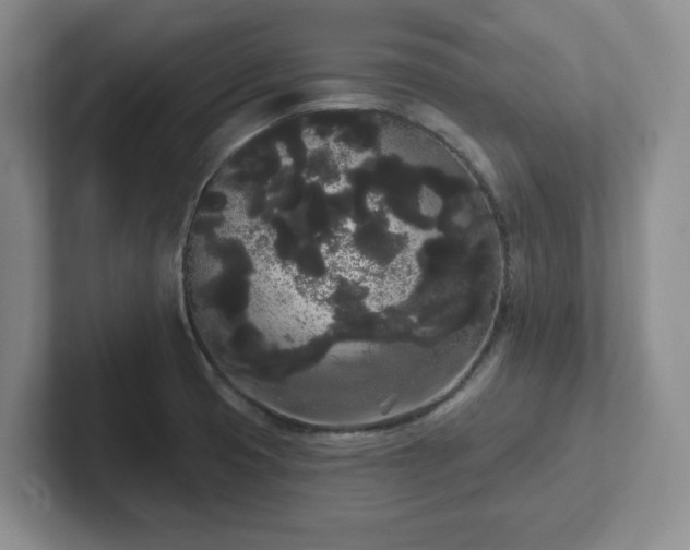 X0000102531425200808151545