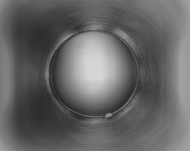 X0000102531426200808151545