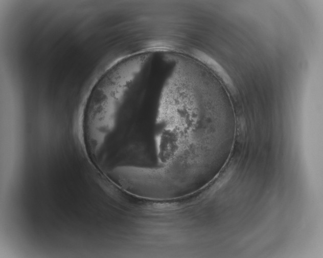 X0000102531427200808151545