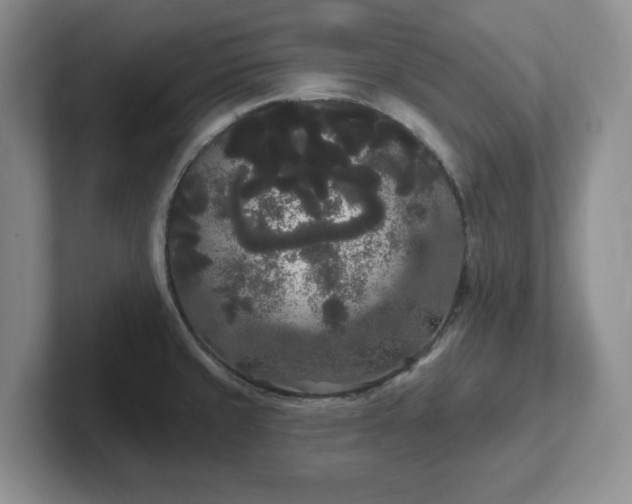 X0000102531429200808151545