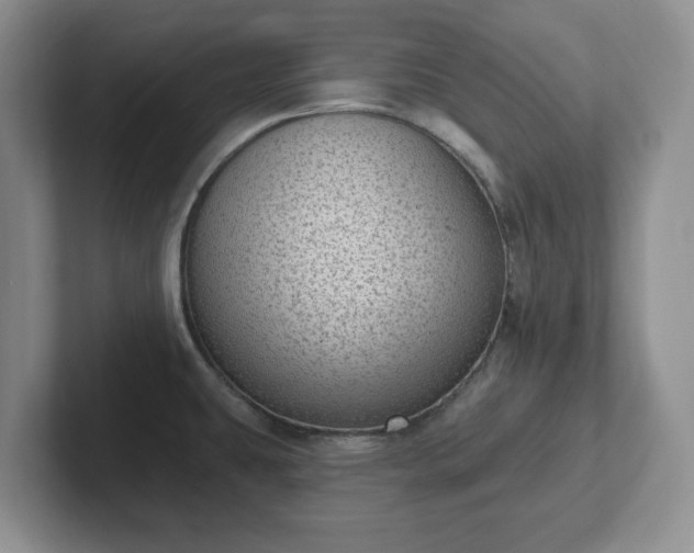 X0000102531431200808151545