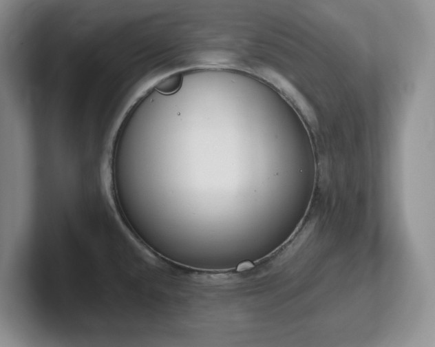 X0000102531432200808151545