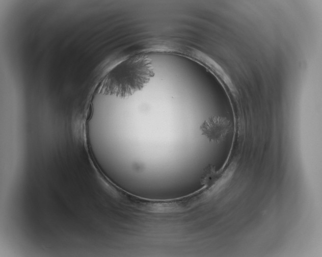 X0000102531433200808151545