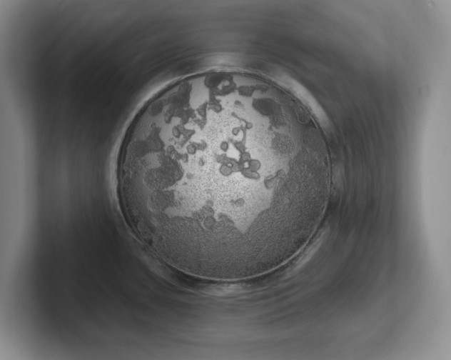 X0000102531435200808151545