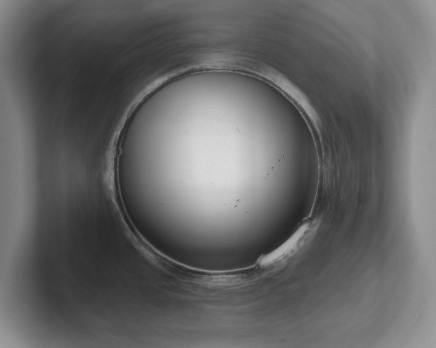 X0000102531437200808151545