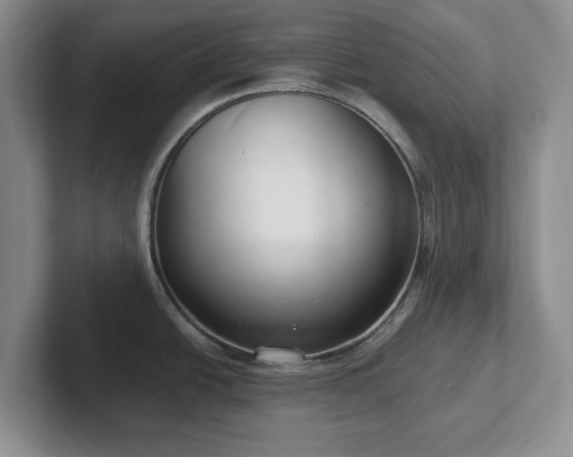 X0000102531438200808151545