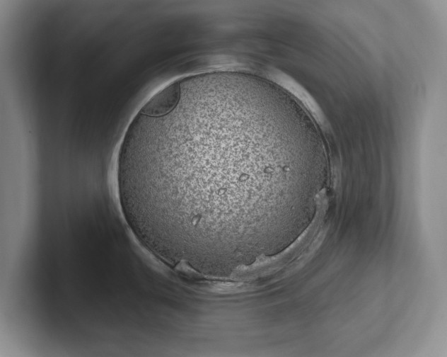 X0000102531439200808151545