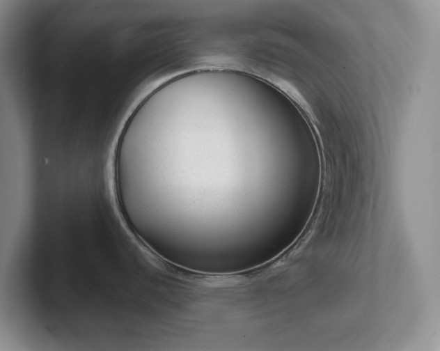 X0000102531440200808151545