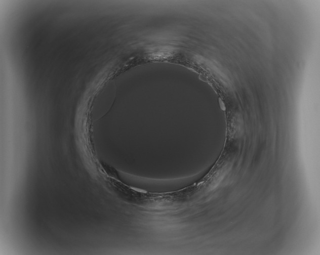 X0000102531441200808151545