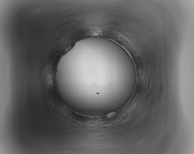 X0000102531442200808151545