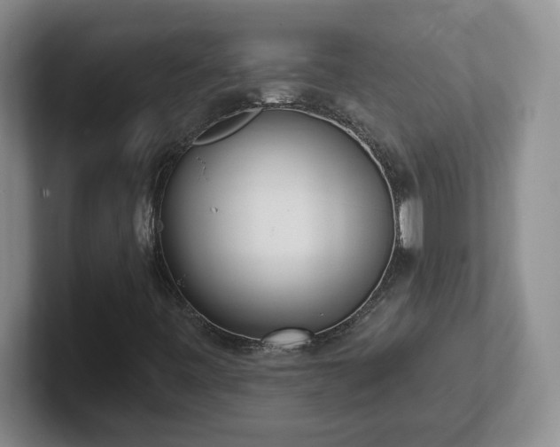 X0000102531443200808151545