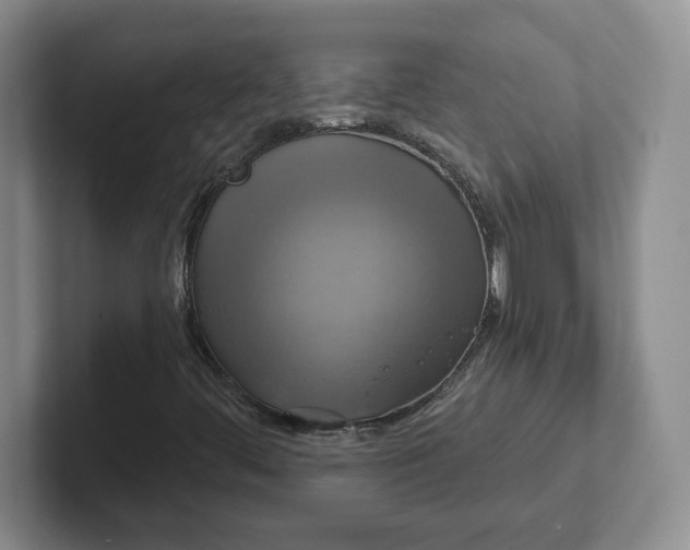 X0000102531444200808151545