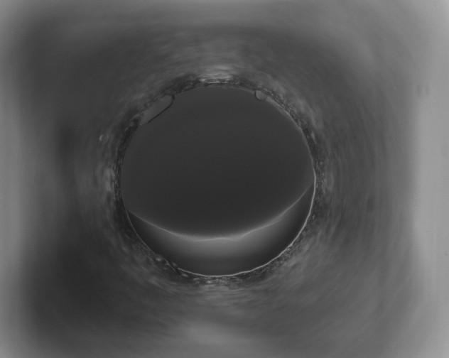 X0000102531445200808151545