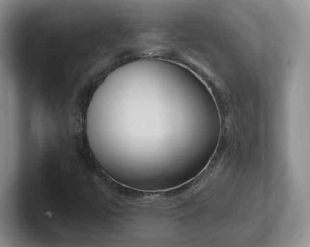 X0000102531447200808151544