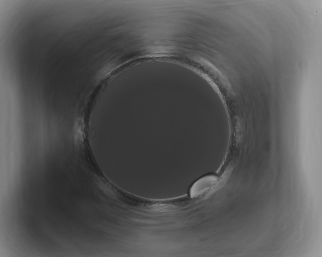 X0000102531449200808151544