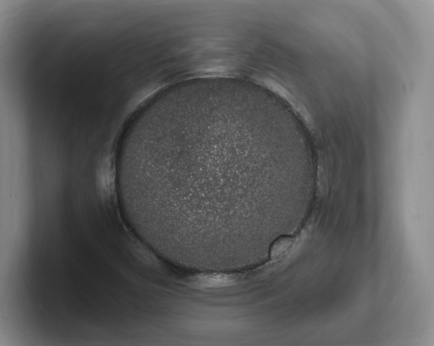 X0000102531450200808151544