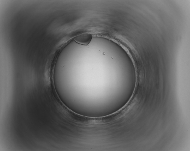 X0000102531451200808151544